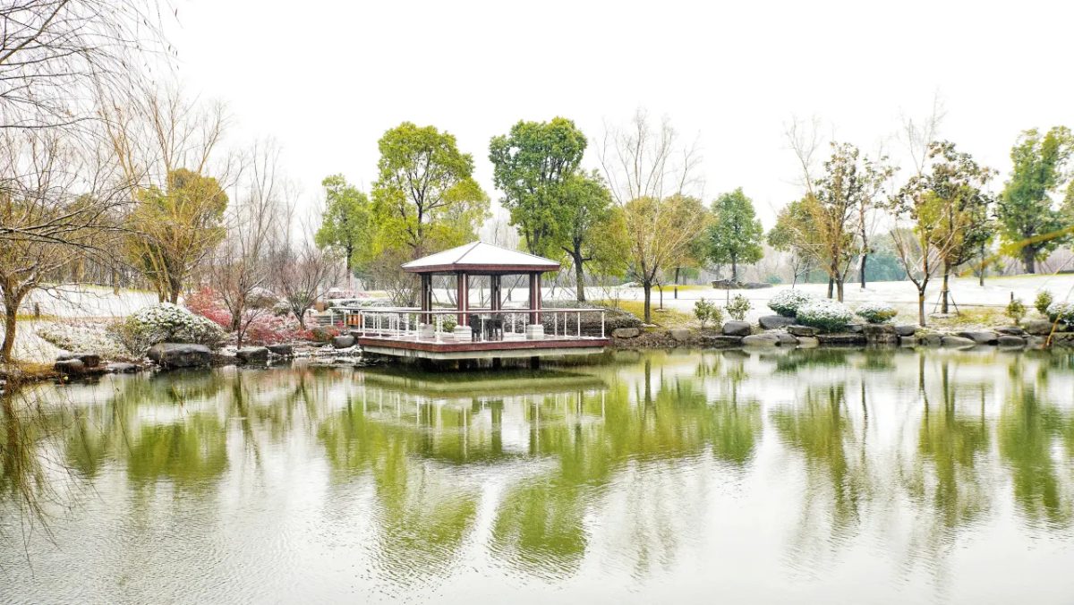 苏州金鸡湖大酒店酒店图片精选5