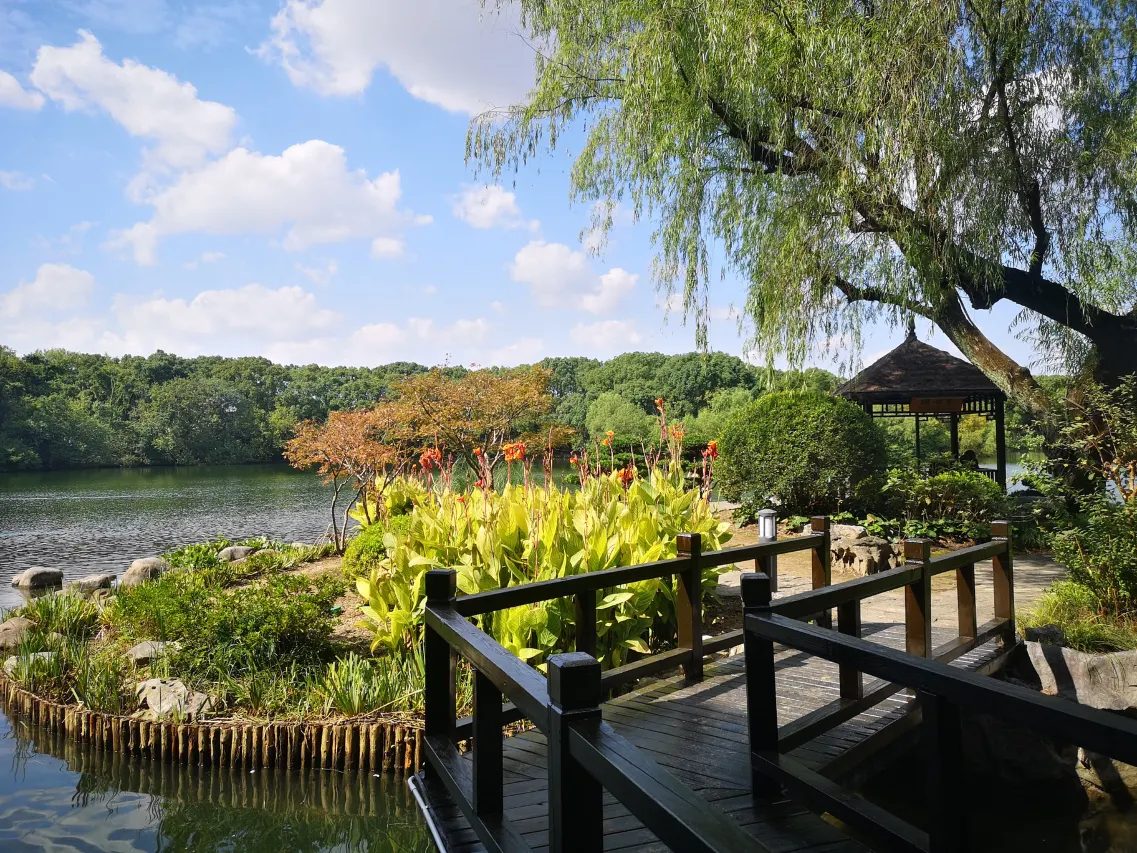 上海西郊宾馆酒店图片精选5